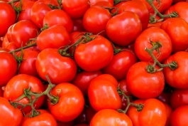 Per tradicinį „Tomatinos“ mūšį Bunjolyje sunaudotos 145 tonos pomidorų