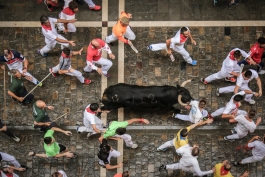 Per festivalį Kueljaryje bulius mirtinai subadė žiūrovą