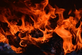 Tenerifės saloje siautėjo gaisras 