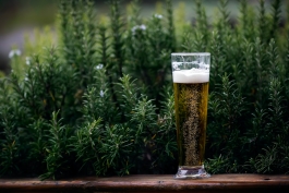 Teismo verdiktas: įmonė nepagrįstai atleido per pietus 3 litrus alaus išgėrusį elektriką bei skyrė kompensaciją 